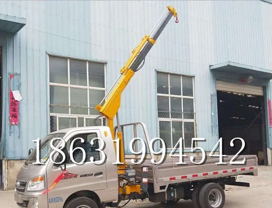 南县车载吊机微型提升机多少钱车载吊机仓库小型自走可移动式价格起重升降机